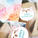 눈썹공쥬