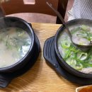 마로니에국밥 이미지