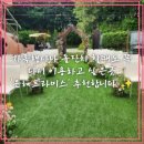 은혜프라미스 이미지