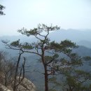 제124차충북괴산 희양산(998m)구왕봉(879)11월24일 이미지