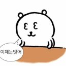 딩굴댕굴 이미지