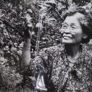 경성과학 이미지