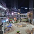 수원-0339 | 수원김치찌개 수원김치찜 명품묵은지김치찜&amp;김치찌개 포장해서 광교호수공원에서 먹은 후기