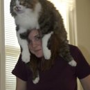 고양이 모자 이미지