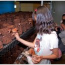 연화농원 이미지