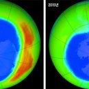 오존사이언스 이미지