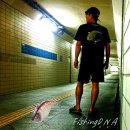 피싱디앤에이(FishingD.N.A.)