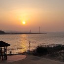 당나루물꽃마을 이미지