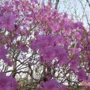 카타나 펜션 이미지