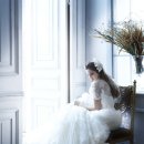 에일린(Aileen)