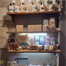 청주고양이입양지원센터 애니멀공화국 이미지