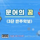 (악보) 안예은 - 문어의 꿈 (MR포함) 이미지