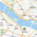 오독안심분양센터 강아지분양 고양이분양 목동점 이미지