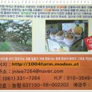 성지농장 이미지