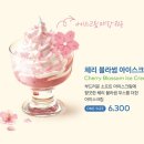 투썸플레이스 봄 시즌 신제품 음료 & 케이크 이미지