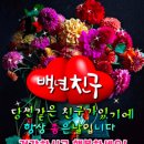 백년친구 Daum카페