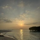 블루당구장 | [몰디브#12] 몰디브 신혼여행 리조트 추천 밀라이두 허니문 특전 / 조식 후기