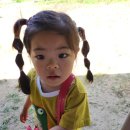 원주 그린애 캠핑장 후기!