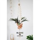 봄맞이 마크라메 식물플랜트 이미지