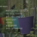 커피나무랩