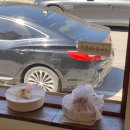 꽃보다예쁘개 이미지