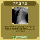 큰숲한의원 이미지