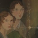 행복조류사 이미지