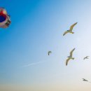 구불8길(고군산길) 이미지