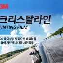 엔틴트