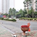 뜨란채2 이미지