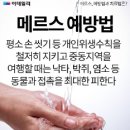 예스 미 이미지