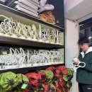 지에스25 자양친절점 | [자양역] 힐링피크닉 | 뚝섬한강공원 돗자리 대여 | 텐트대여 | 한강데이트