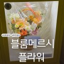 블룸메르시플라워