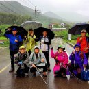 악양면사무소 이미지