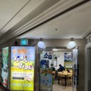 부산 경성대 맛집 추천 내돈내산 질 좋은 한식뷔페 신소향 후기