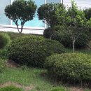 (주)삼우메디안 이미지