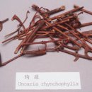 태평양약국 이미지