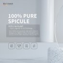보필동래