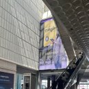 2026 SIDEX 서울국제치과기자재전시회 방문 후기 🦷🪥
