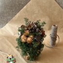 [04/20] 프리저브드 플라워 미니센터피스 - 원데이 클래스 | 광주 플라워클래스 | 크리스마스 트리 만들기 유에스유엔 원데이클래스 후기