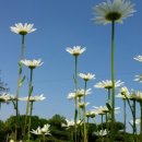 (주)덕해 이미지