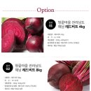 성현푸드 이미지