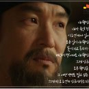 뿌리깊은 나무 이미지