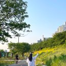 도림천 산책로4 이미지