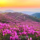 황강생태공원 A-02 이미지