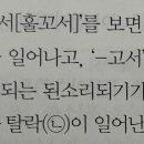[언매] 어간말 'ㄹ' 뒤 경음화? 이미지