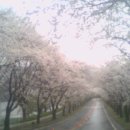 호암미술관 이미지