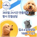 전천 유기동물보호센터 구간 | 반려묘입소 안전한 아이조아에서