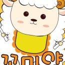 꼬미양 네이버블로그