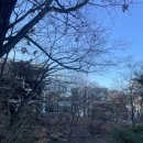 (주)아워홈 서울대대학원식당점 | [서울대학교 도서관] 대학원 석사 과정생에게 겨울...시간을 더 가지라는 것ㅣ학식 자하연 학생회관 아워홈